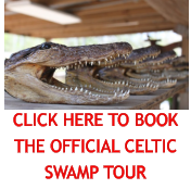 CLICK HERE TO BOOK THE OFFICIAL CELTIC SWAMP TOUR